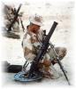 m-224-dvic504.jpg 3.0K